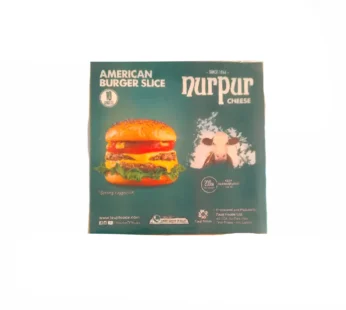 NURPUR CHEESE AMERICAN BURGER SLICE 10 PCS